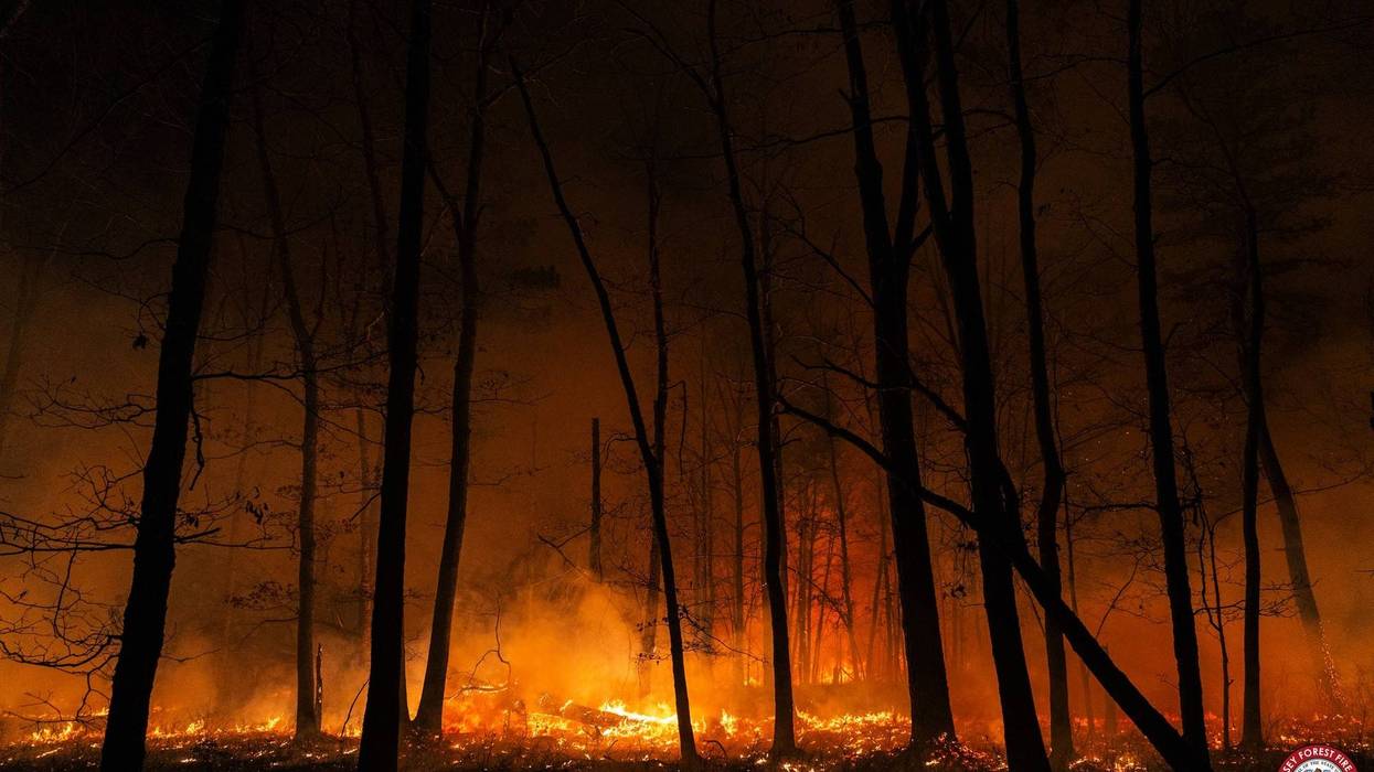 wildfire