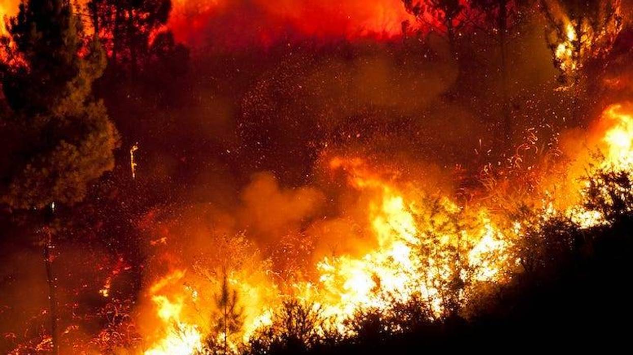 wildfire