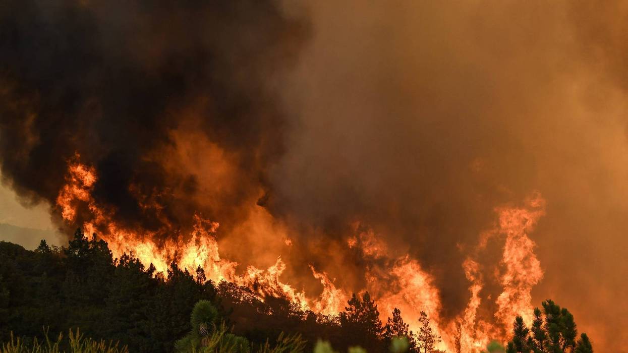Wildfire