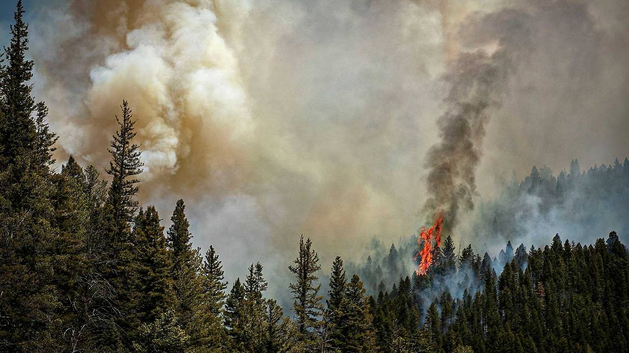 Wildfires New Mexico