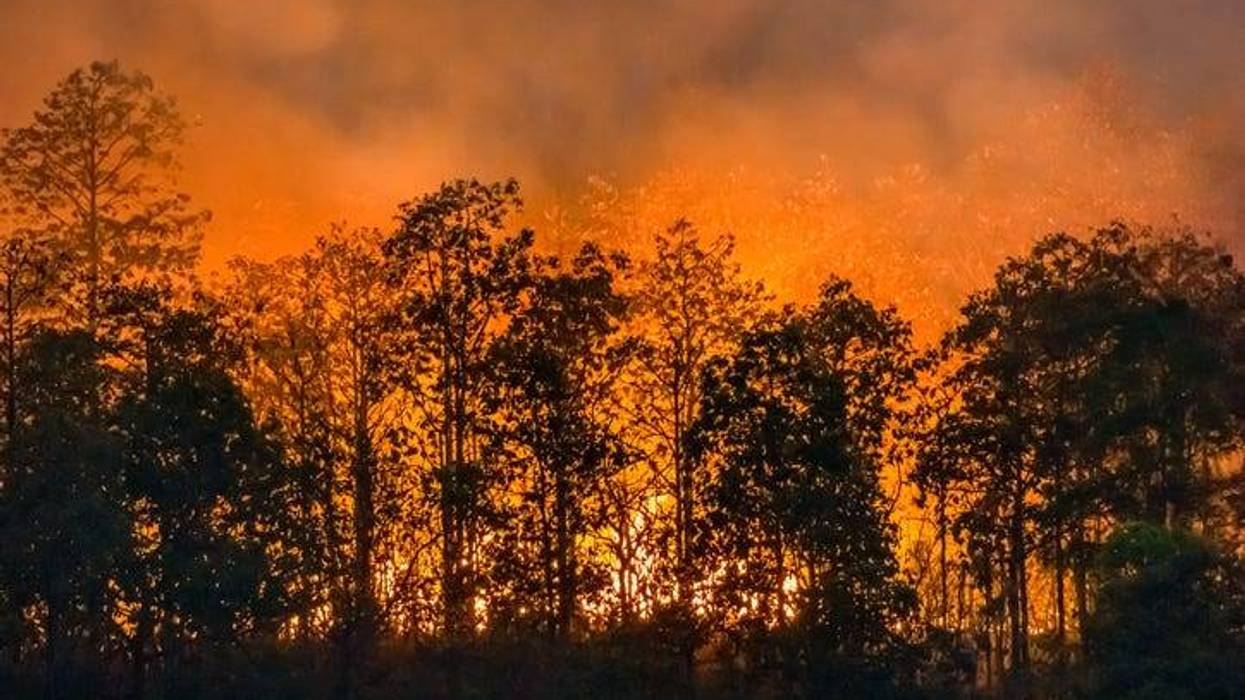 wildfires