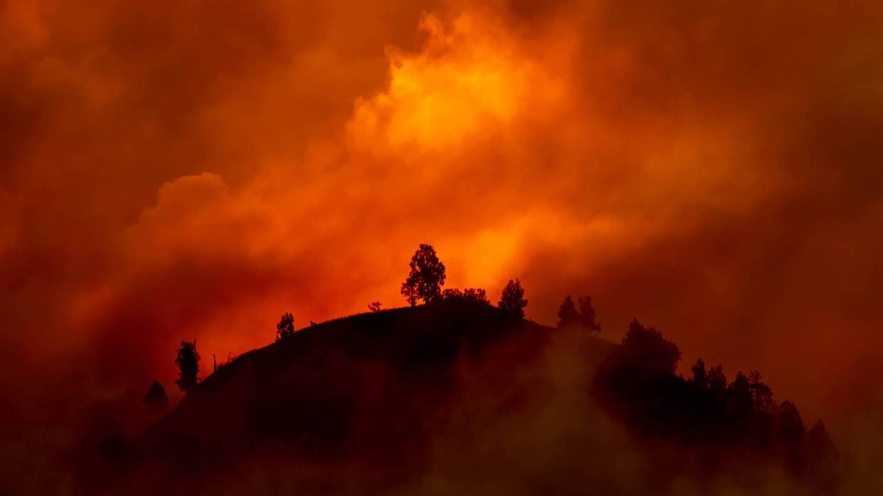 Wildfires