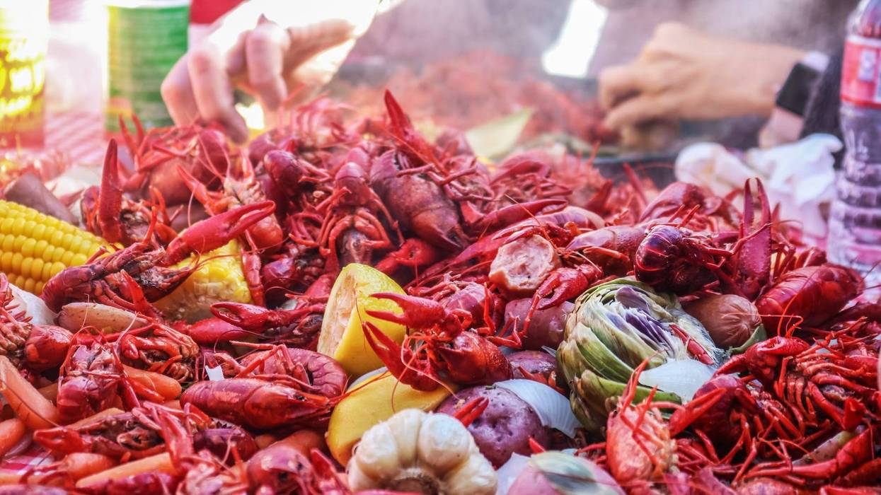 Will all this rain help Louisiana's crawfish crop? No.