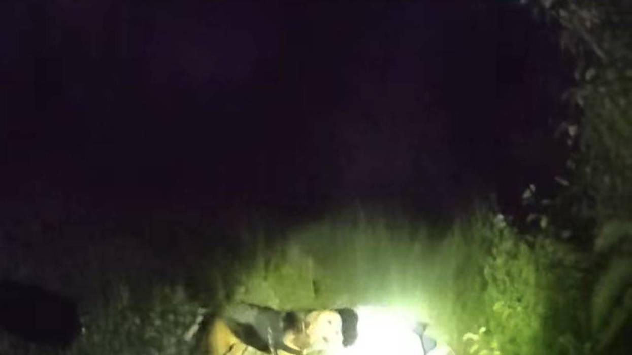Police K-9 finds missing man with dementia