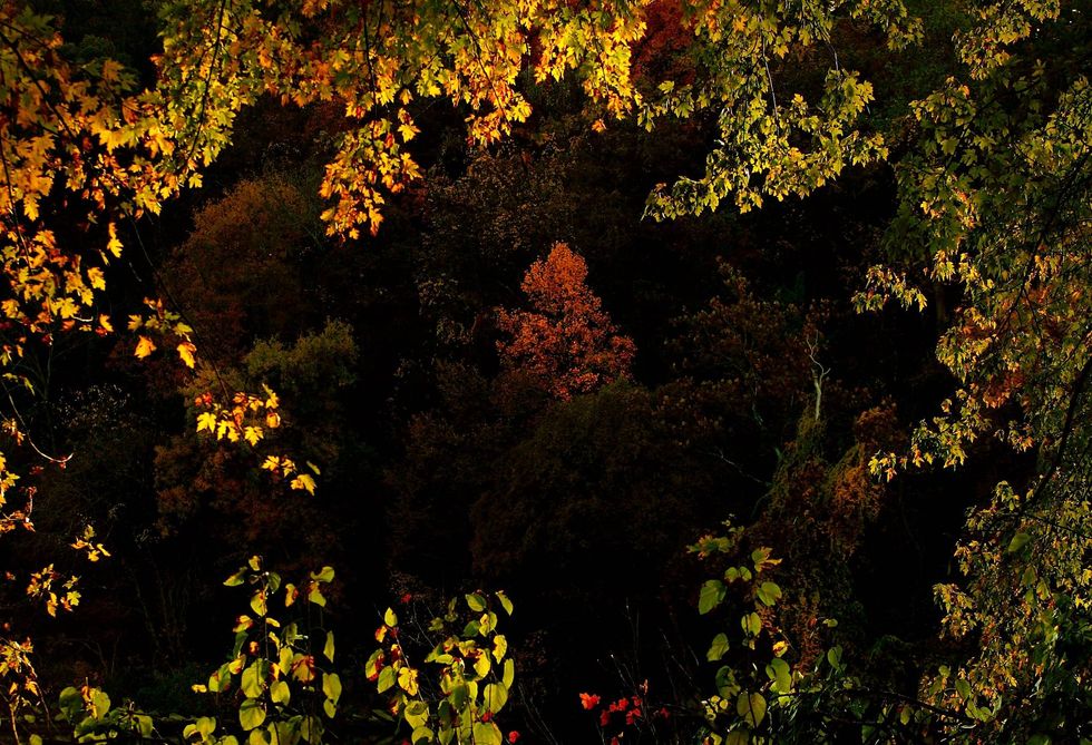 Win McNamee/Getty Images