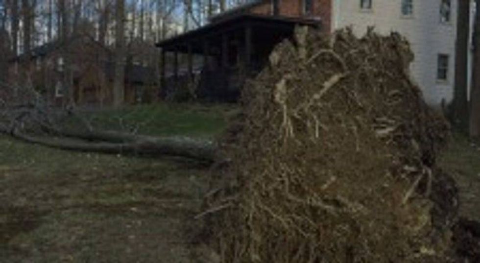 WIND! Power out and trees down across WNY! 14