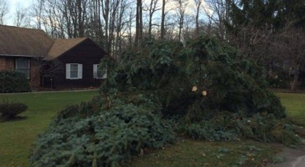 WIND! Power out and trees down across WNY! 15