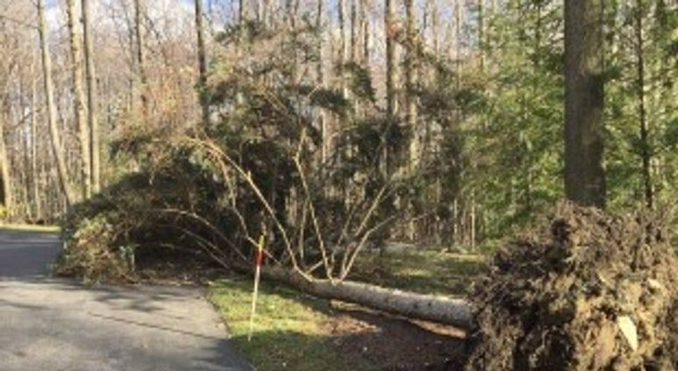 WIND! Power out and trees down across WNY! 16