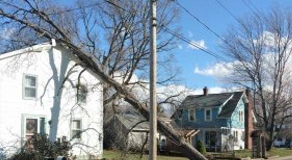 WIND! Power out and trees down across WNY! 17