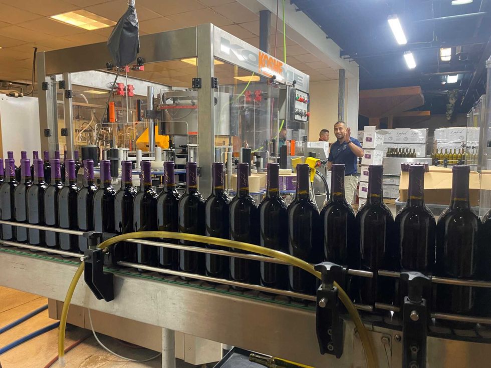 Wine bottles on assembly line