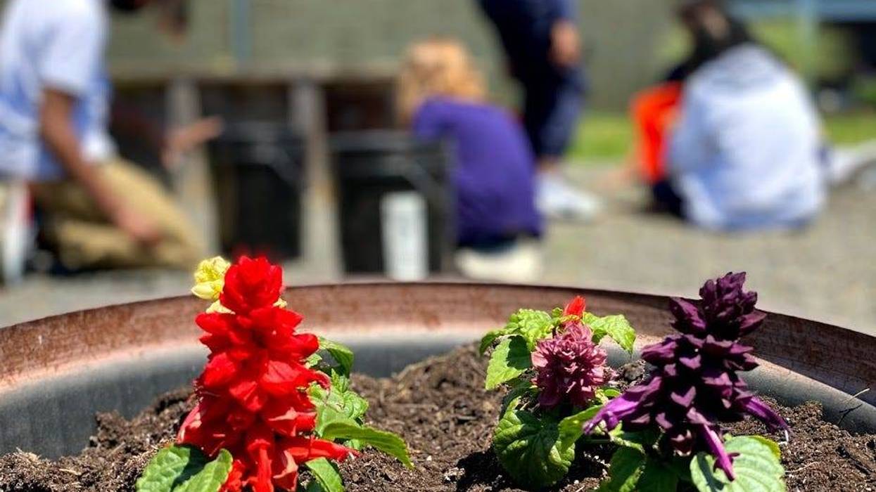 Winslow Middle School’s courtyard garden being developed by middle schoolers.