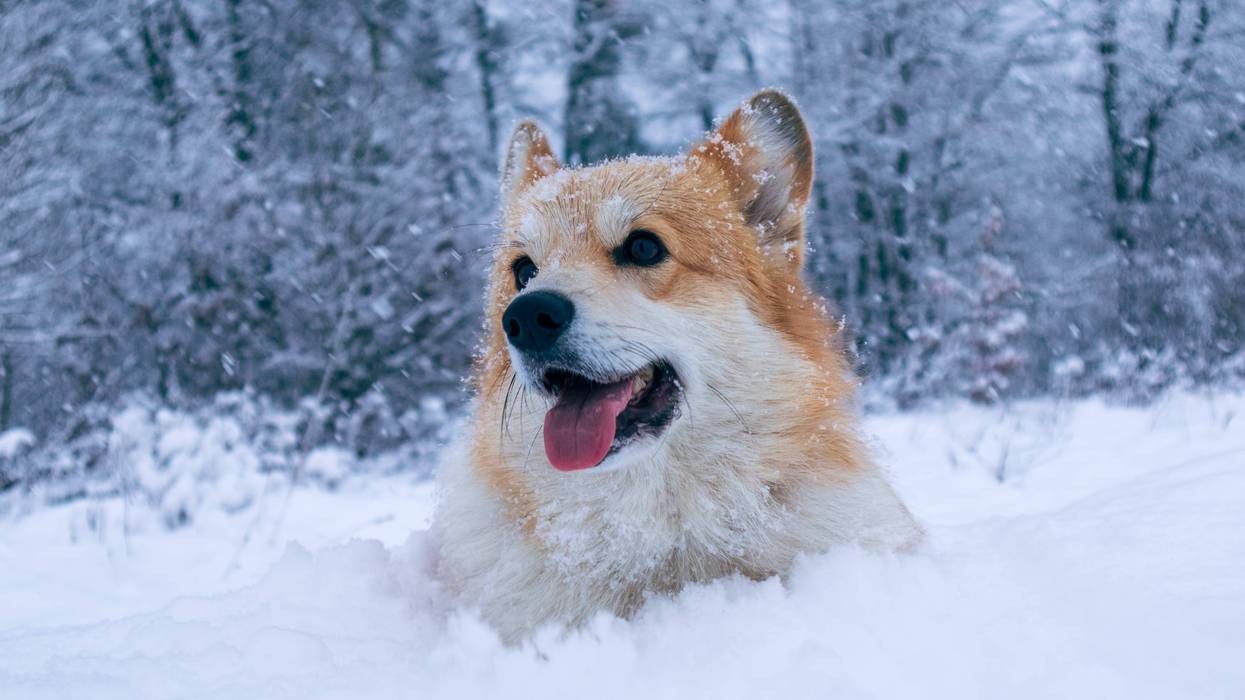 Winter storm anticipated to hit Louisiana this weekend, beginning Friday night