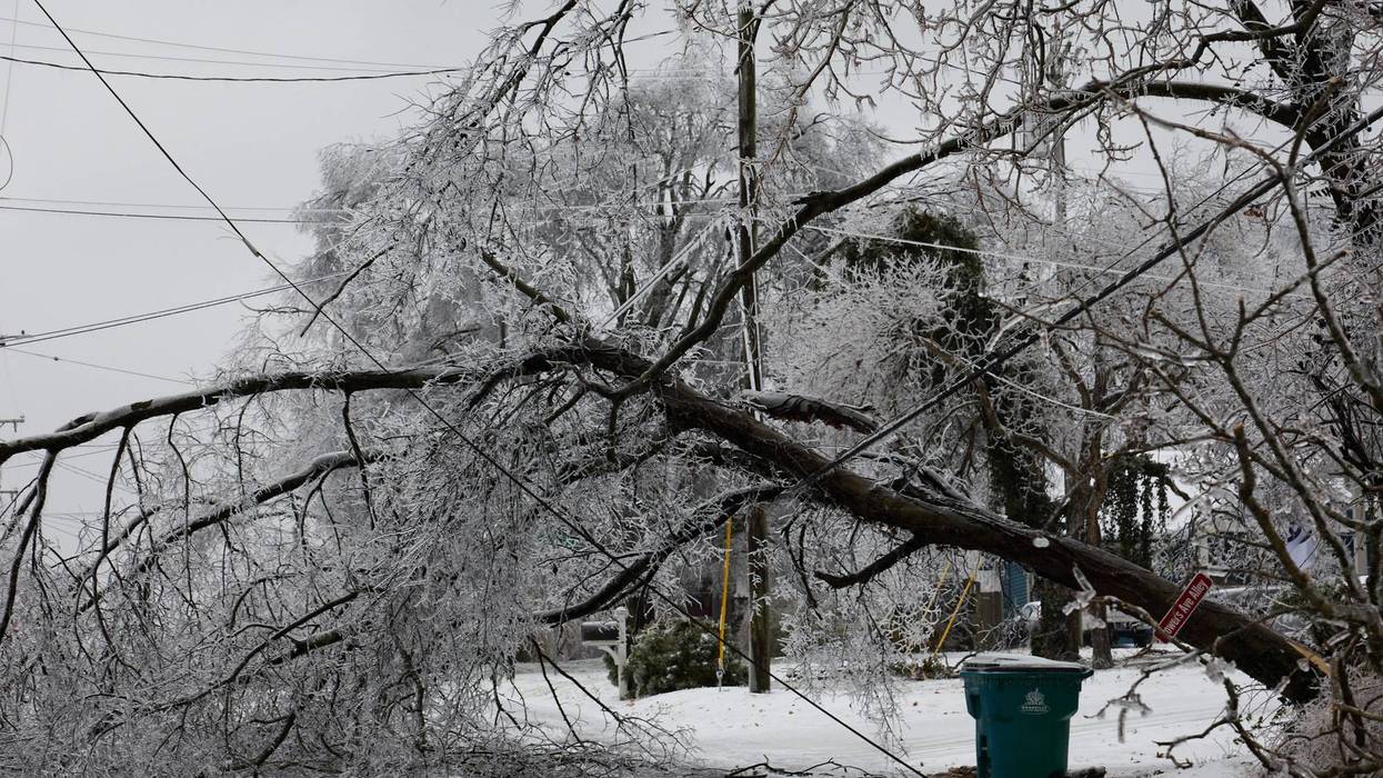 Winter Storm Fern downed power lines across Mississippi and Tennessee