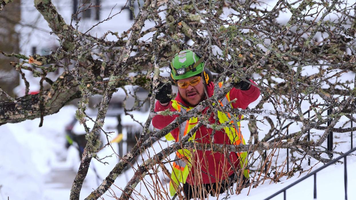Winter Weather Massachusetts
