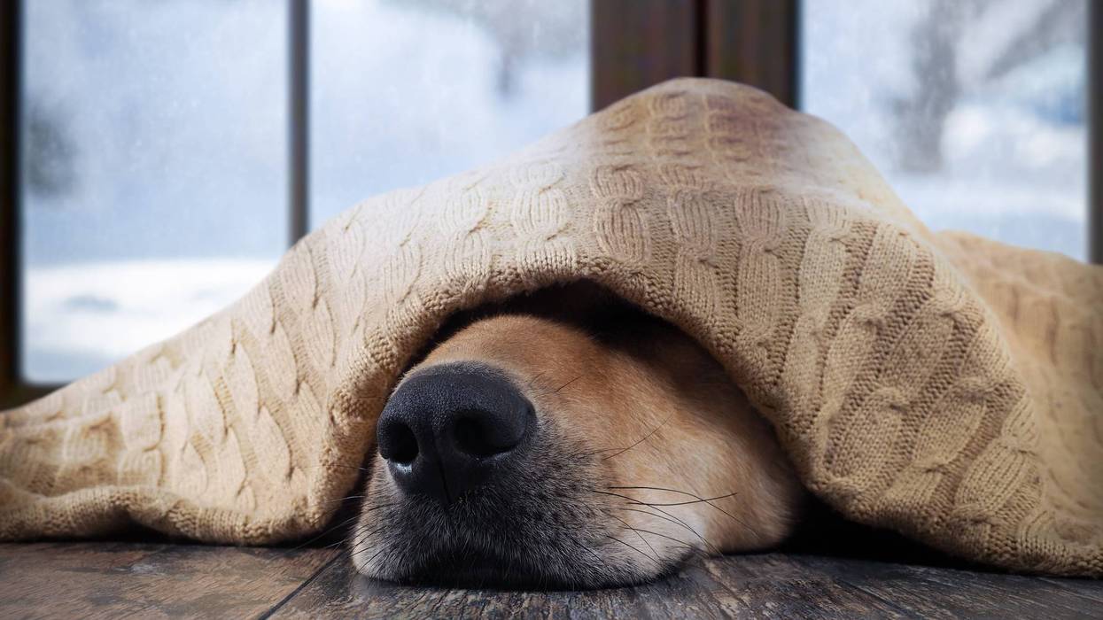 Winter will come knocking with a blast of artic air over the weekend after Michiganders were teased with a taste of spring weather earlier this week.