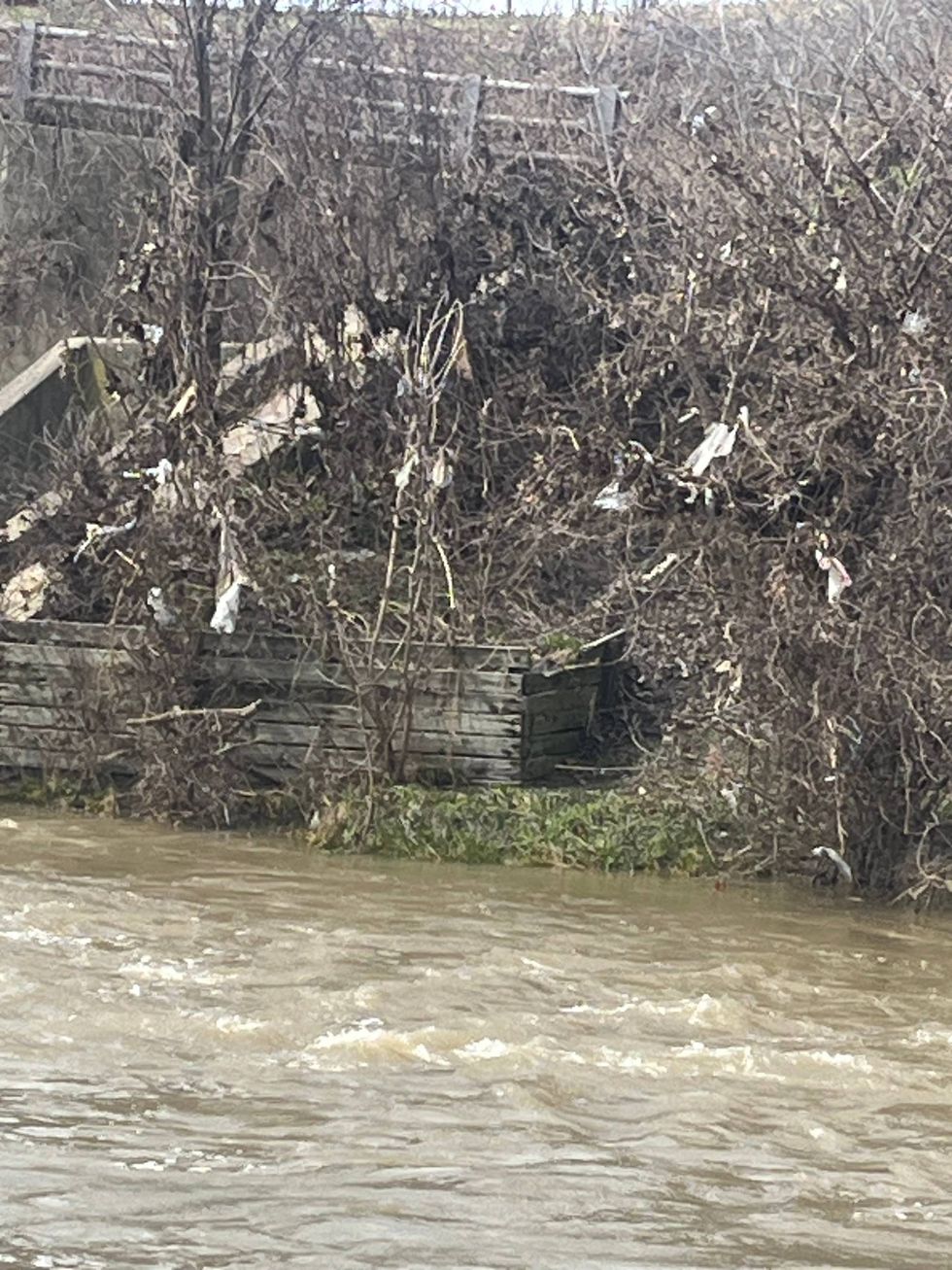 Wipes are seen caught in trees along the Red Run.