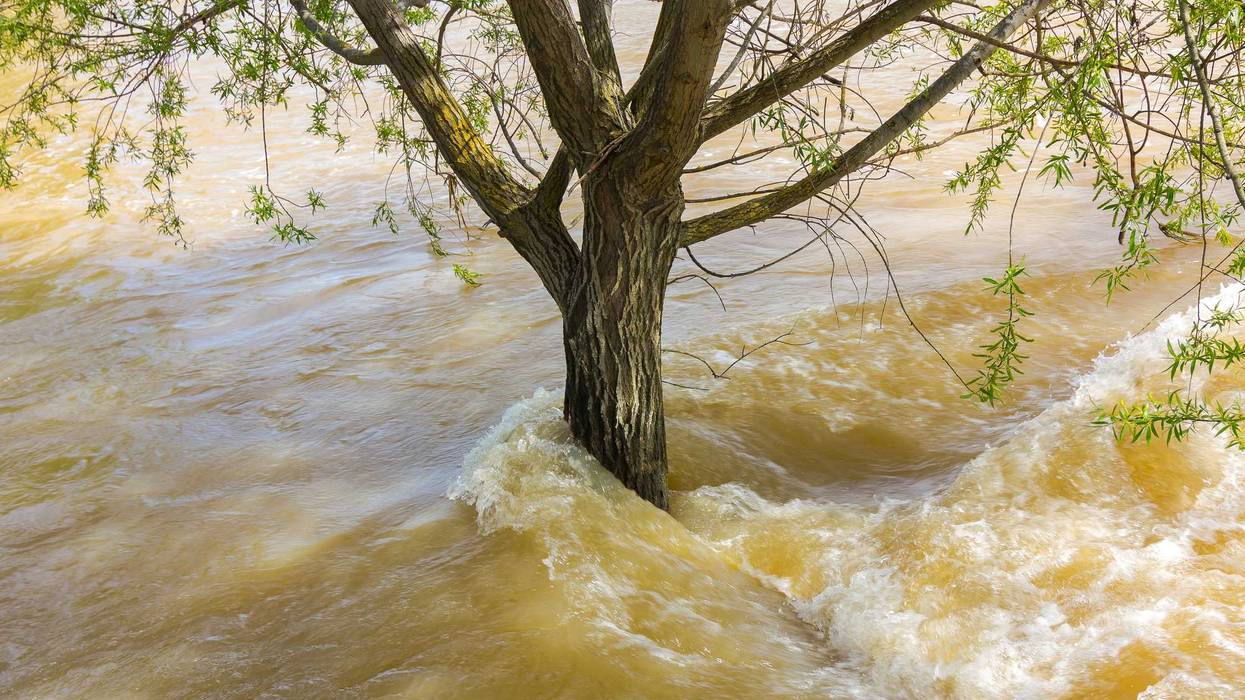 With water high and running fast, here are some precautions to take from the DNR.