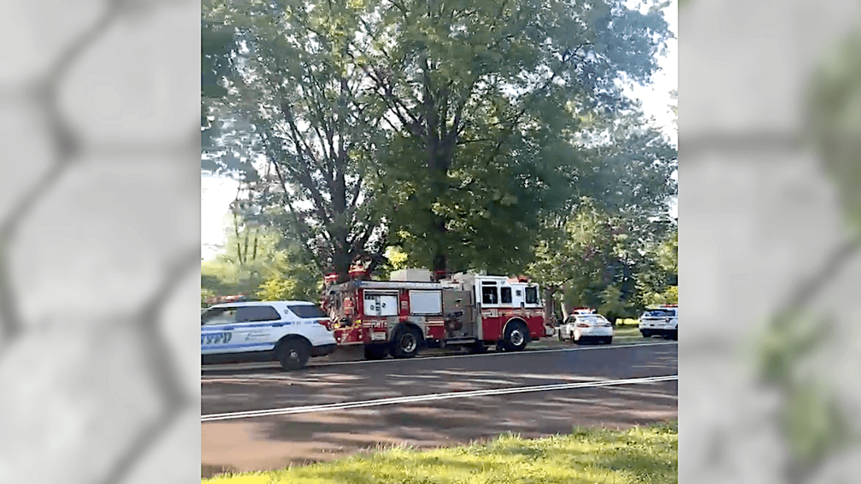 Witnesses said the FDNY and NYPD quickly arrived at the scene after multiple 911 calls went out