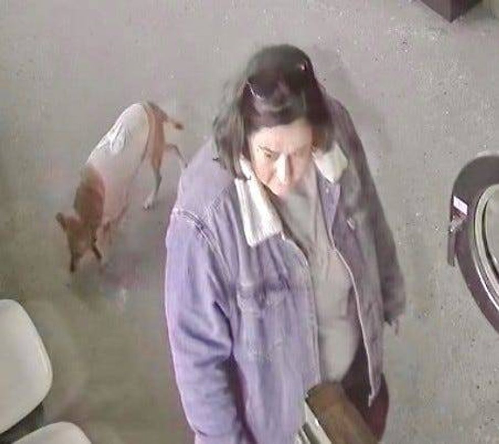 Woman accused of taking cat