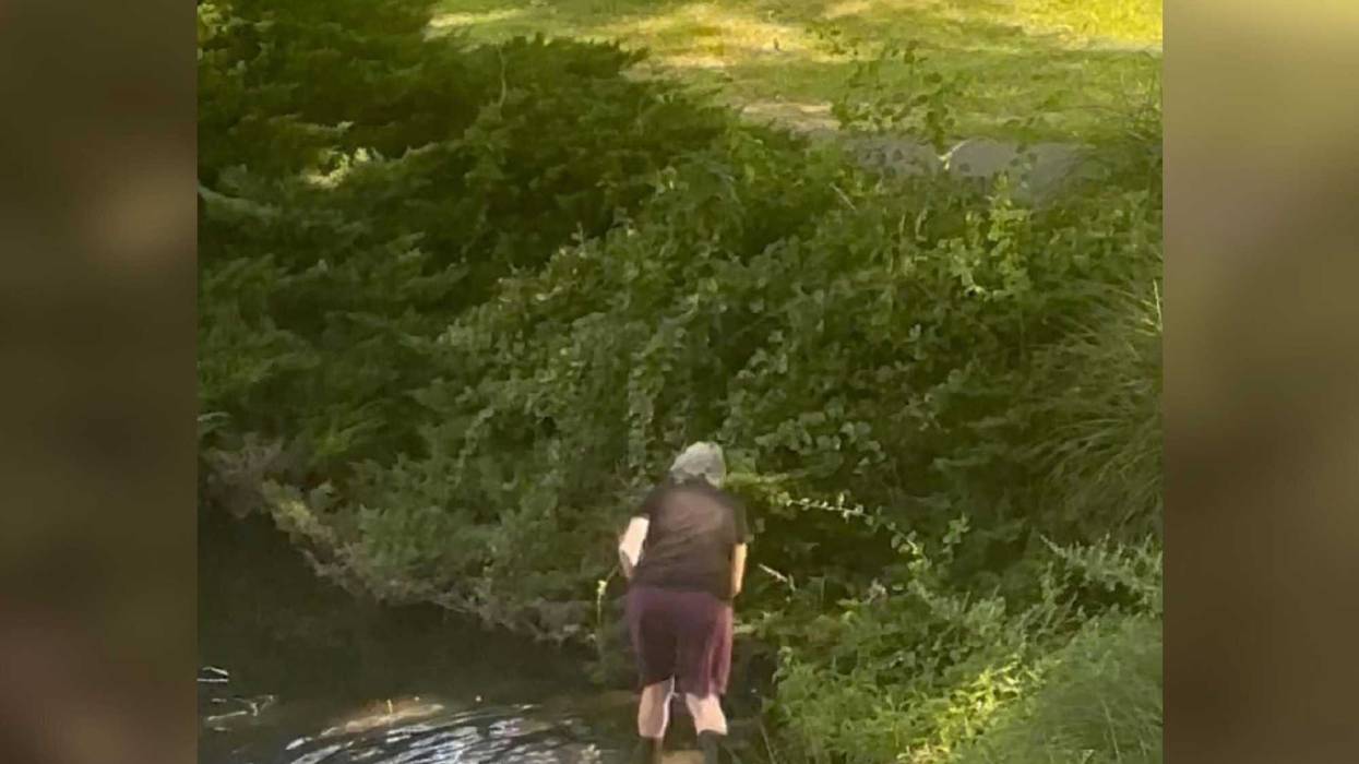 Woman charged with fatally beating duck on Long Island