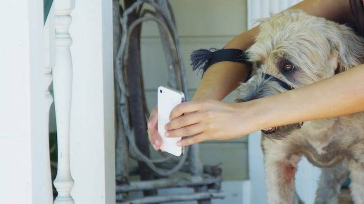 Woman, Dog, Porch, Phone, Selfie