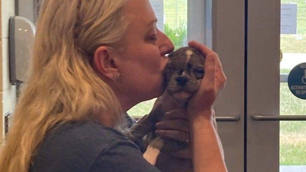 Woman kissing French bulldog puppy