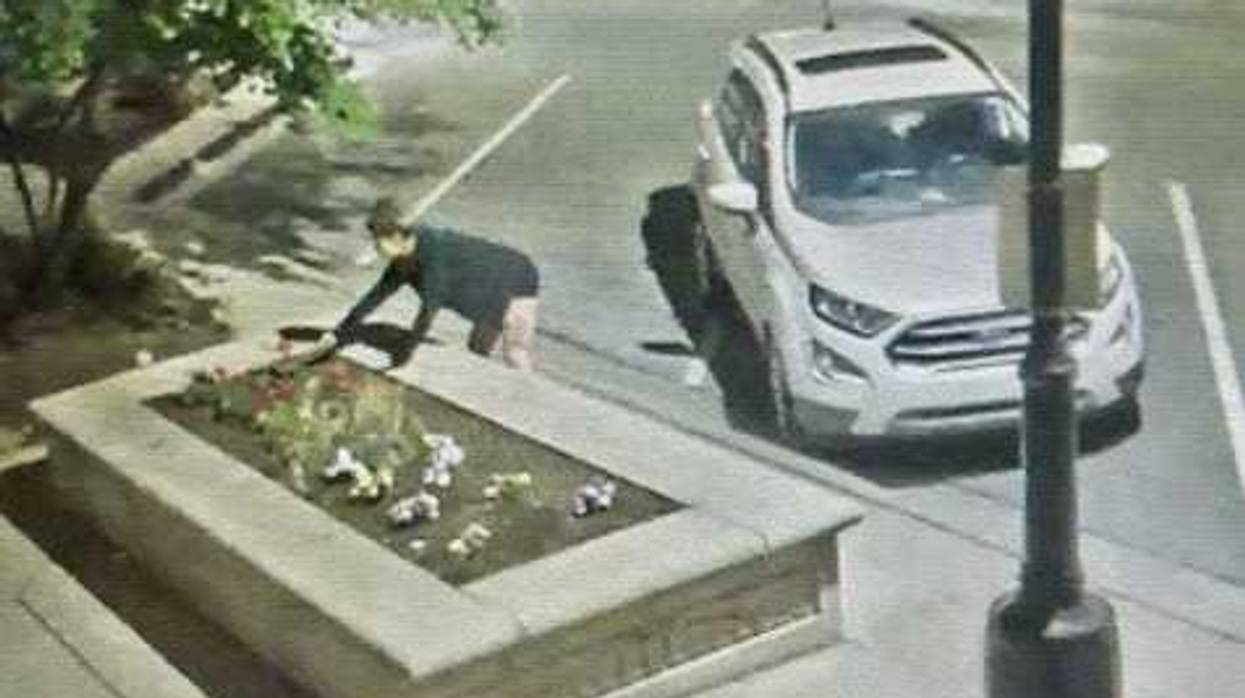 woman stealing flowers