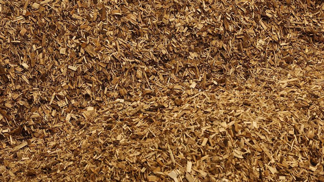 wood chips