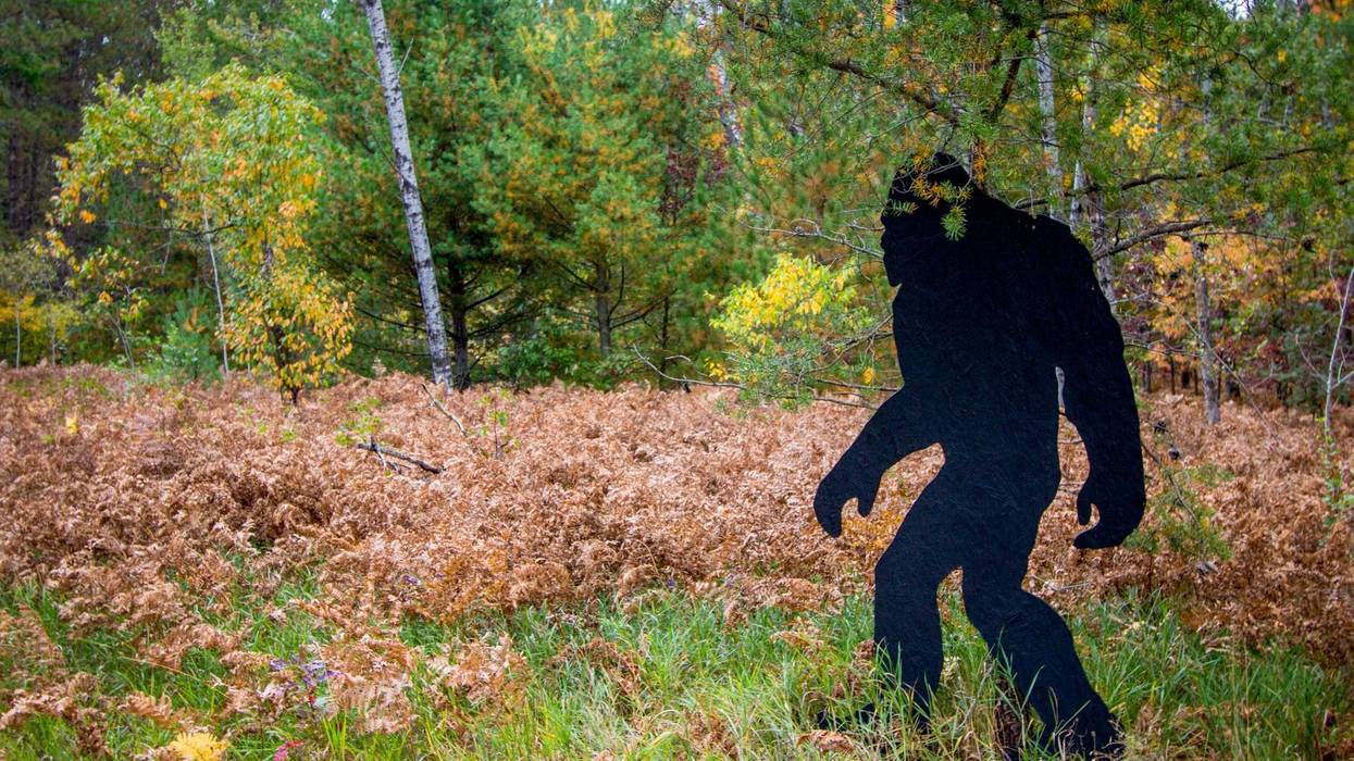 Wooden bigfoot in the northern forest of the United States
