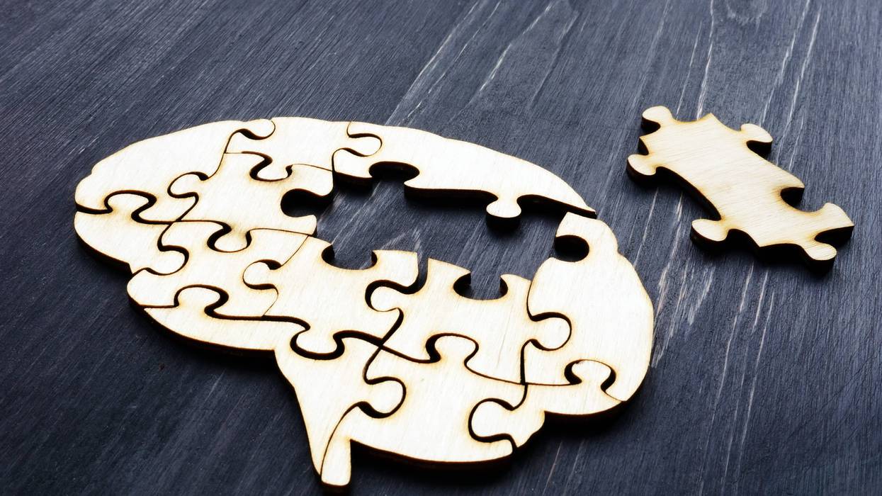 wooden puzzle in the shape of a brain with one piece missing