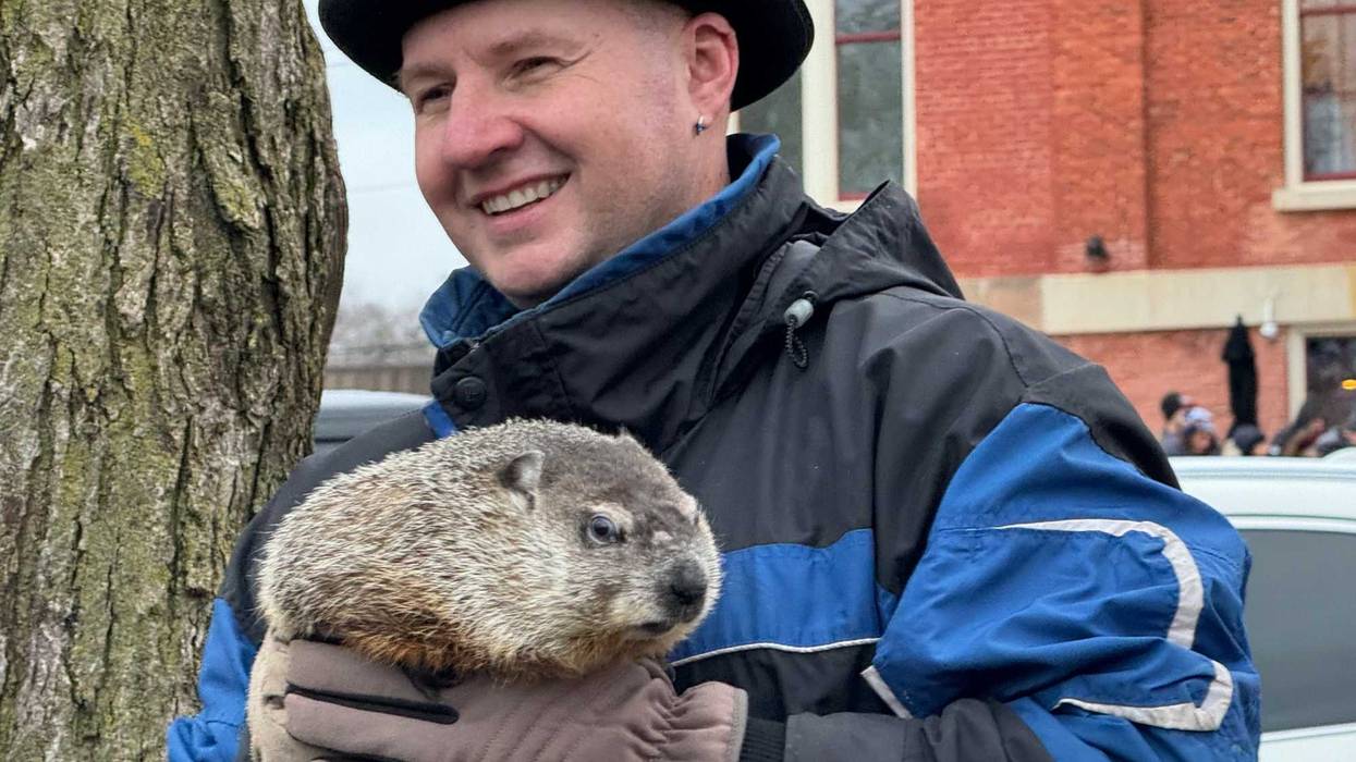 Woodstock Willie groundhog