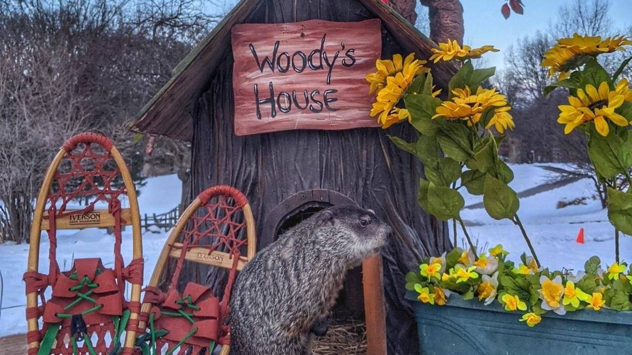 Woody the Woodchuck outside of his tree home