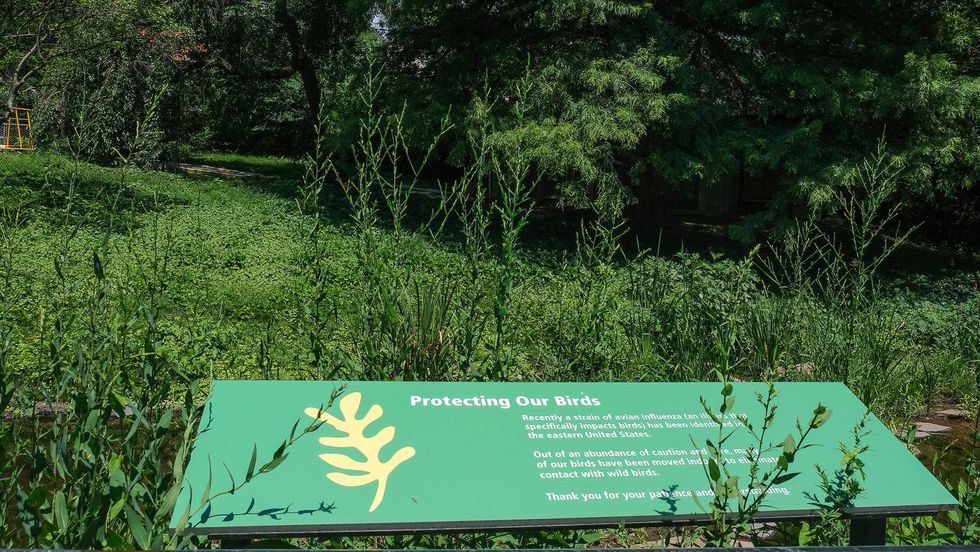 Workers at the Philadelphia Zoo are taking COVID-19 pandemic-like steps to keep birds safe.