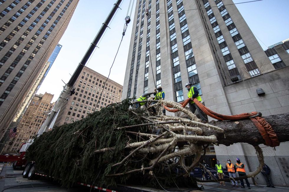 Workers raise the Rockefeller Center Christmas Tree on November 14, 2020 in New York City.