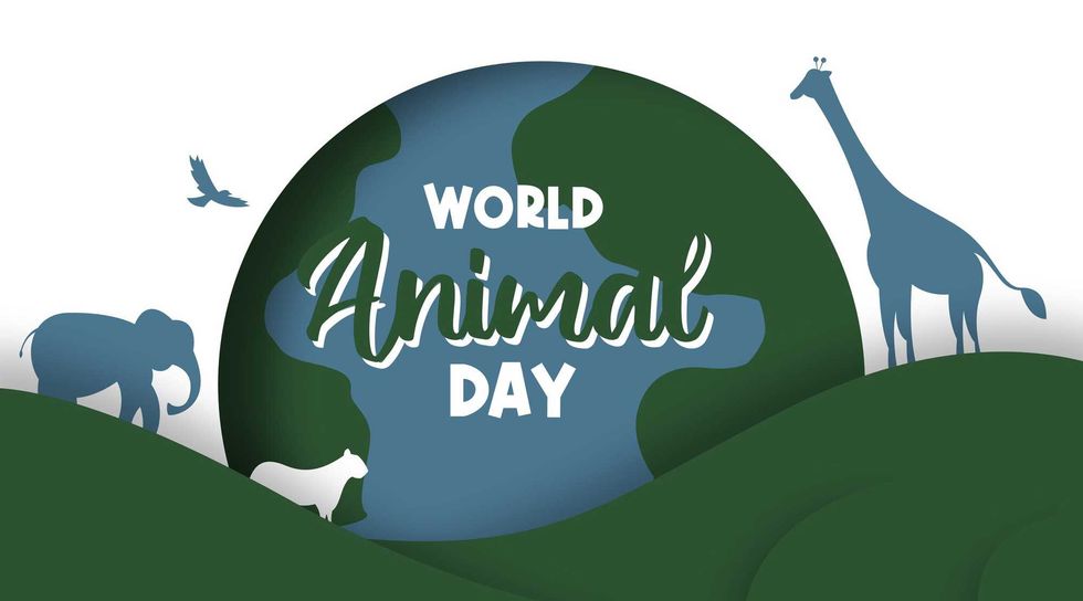 World animal day