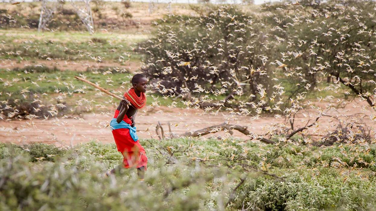 World Bank Climate Migration