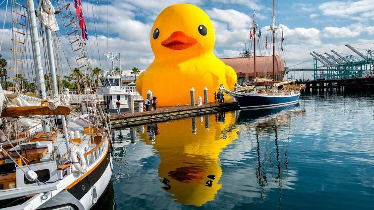 World's Largest Rubber Duck