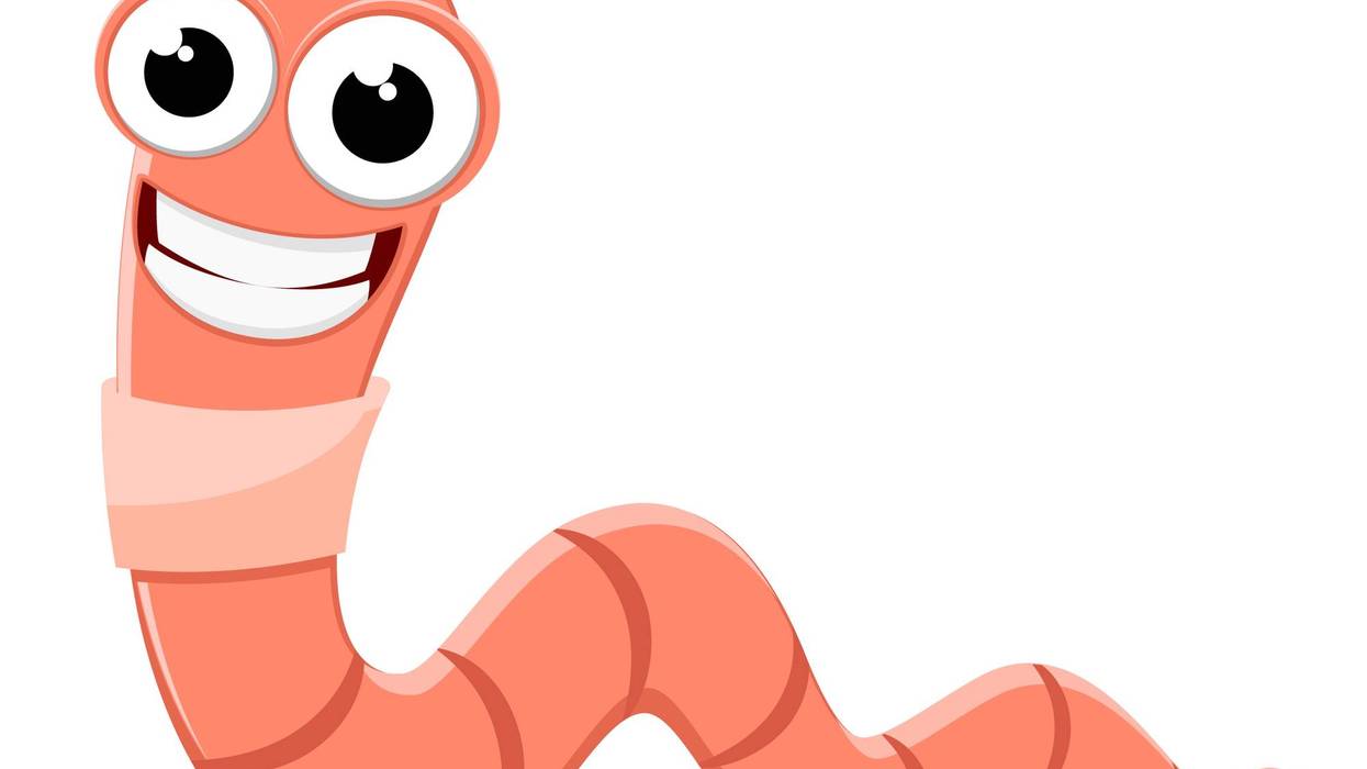 worm