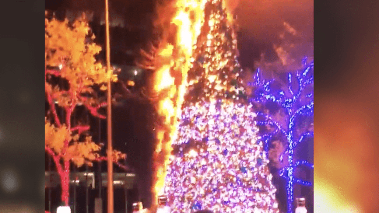 Xmas tree set on fire