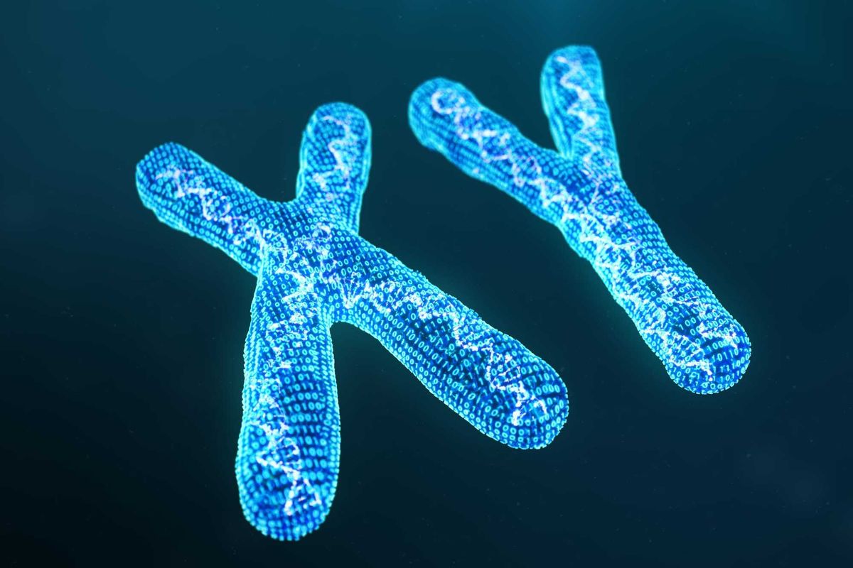 XY digital, artificial chromosomes with DNA carrying the genetic code. Genetics concept, artificial intelligence concept. Binary code in the human genome, future, genetic mutations. 3D illustration