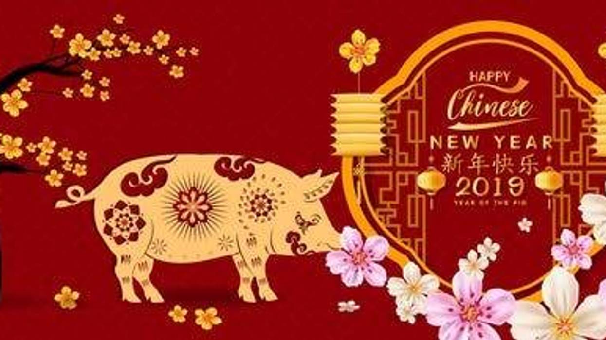 Year of the Pig. Lunar new year. Chinese characters mean Happy New Year.