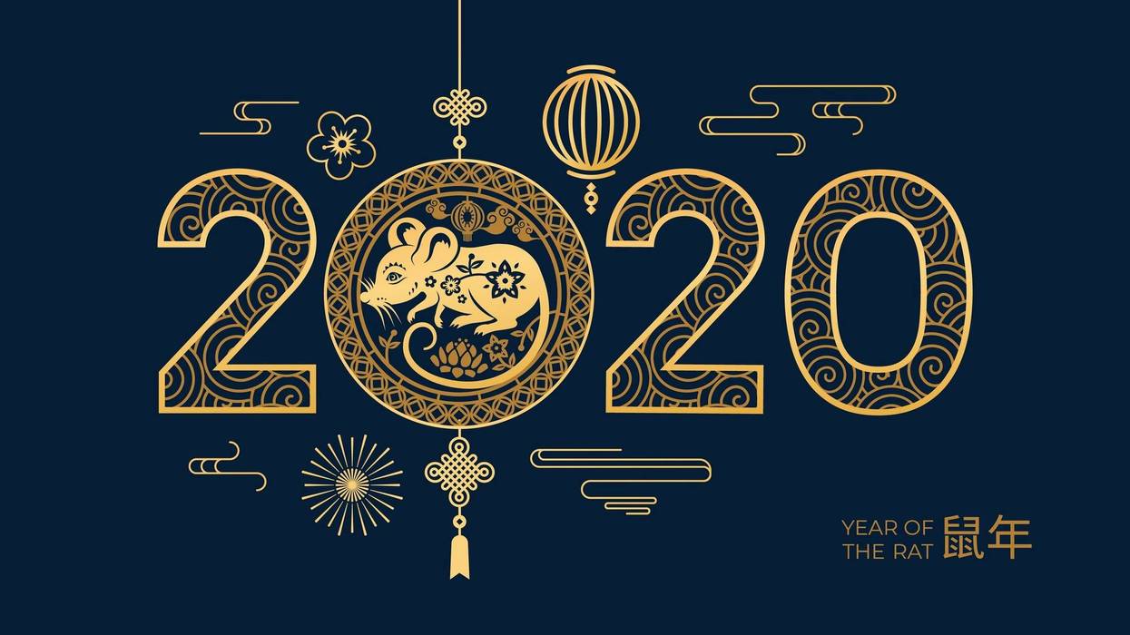 year of the rat