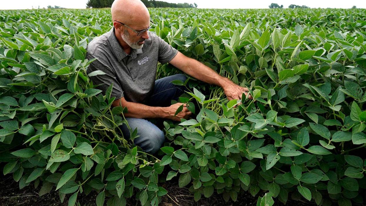 Year Round Farming