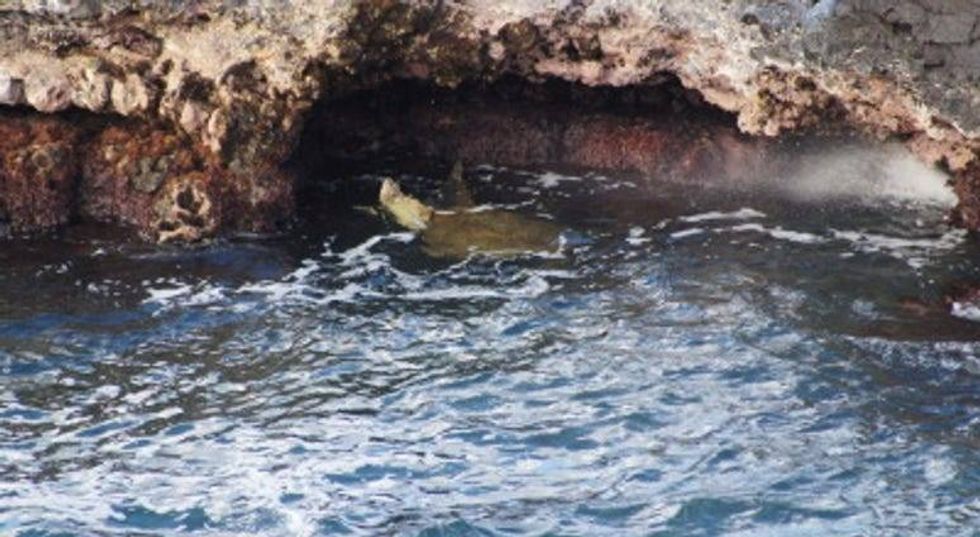 YMT Vacations Hawaiian Islands Tour 16