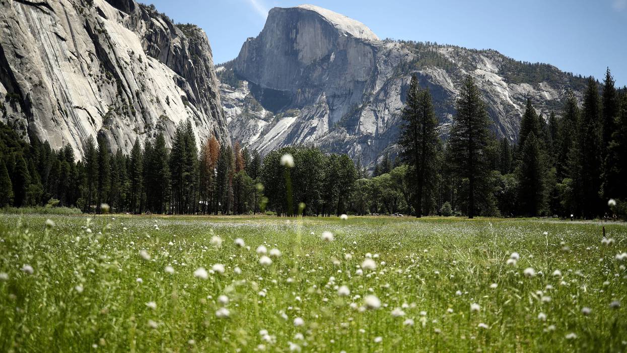 Yosemite National Park is set to re-open its south entrance this weekend after the Washburn Fire forced its closure in early July.