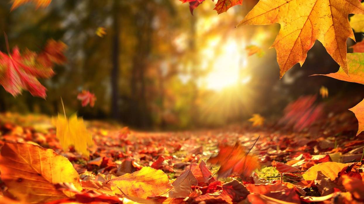 Your Guide to Fall Events in and around Philadelphia for 2025