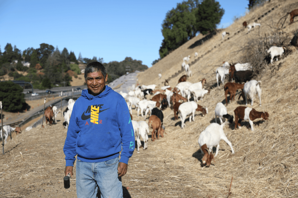 Zenobio Mancha is the goat herder.
