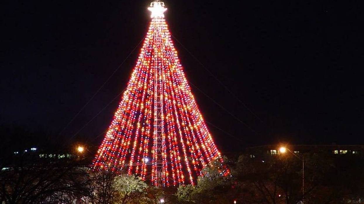 Zilker Holiday Tree
