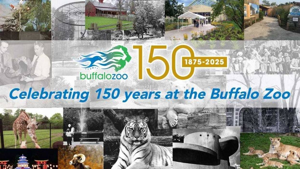Zoo