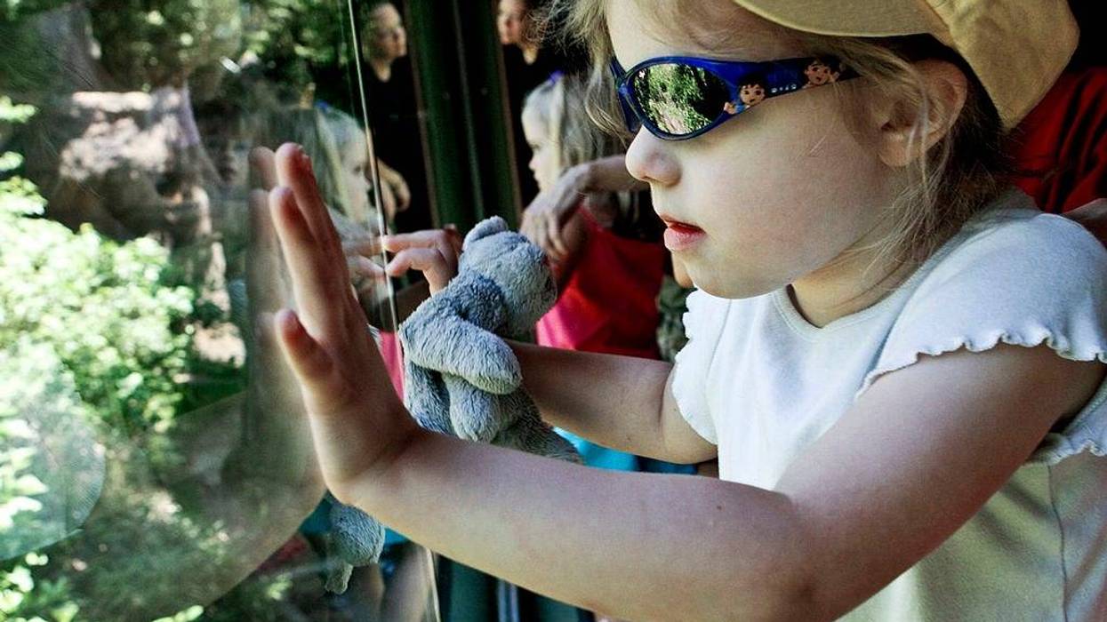 Zoo